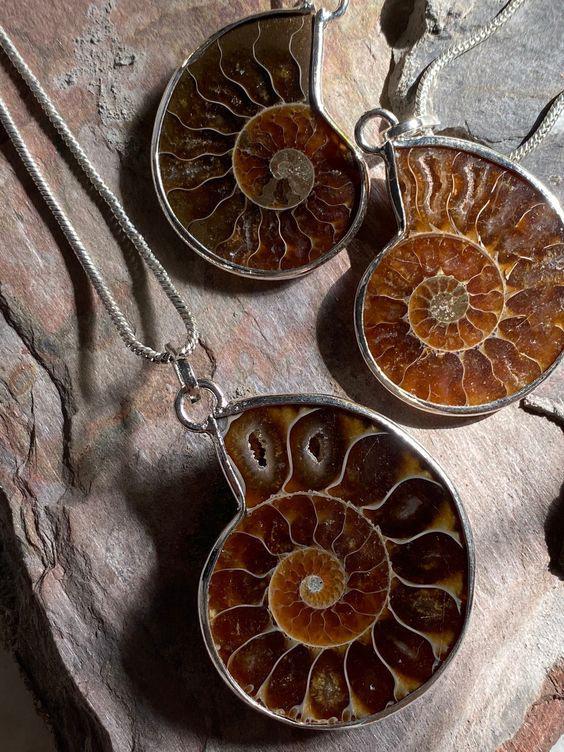 فسیل آمونیت سنگ آمونیت