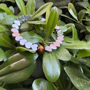 دستبند حدید و چشم ببر