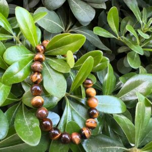 دستبند چشم ببر