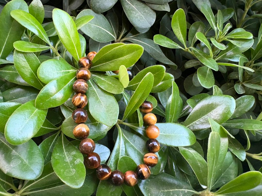 دستبند چشم ببر